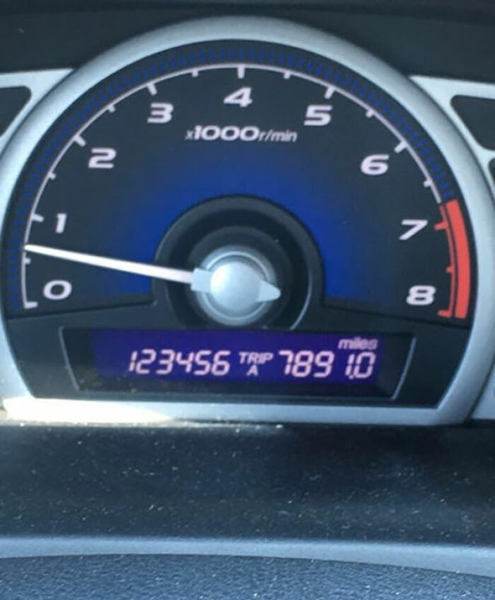 The Perfect Timing Of This Odometer And Trip Meter