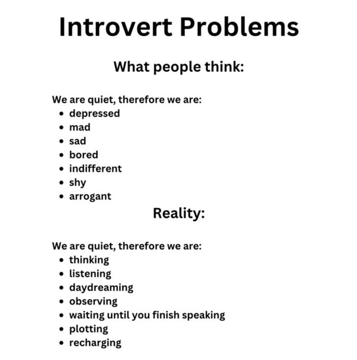 Introvert-Memes-By-Allabintroverts