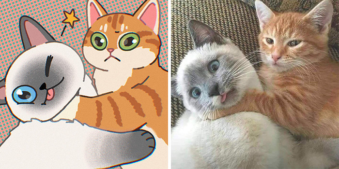 This Artist Recreates Funny Cat Images Into Comical Illustrations (31 Pics)