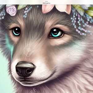 teliyajohnson avatar