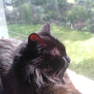 sien_withers-burke avatar