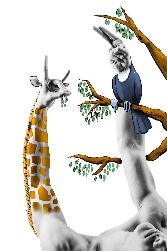 Giraffe And Toucan