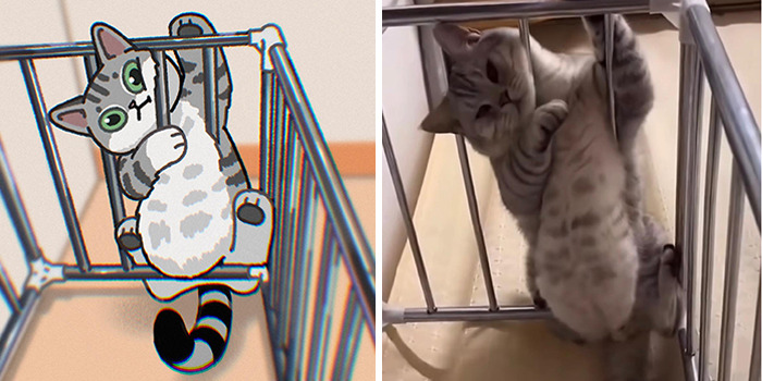 This Artist Recreates Funny Cat Images Into Comical Illustrations (31 Pics)