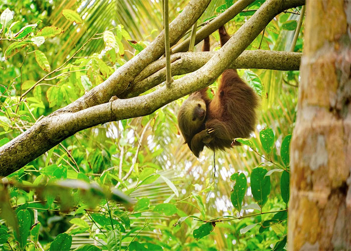 “You May Be Living In The Last Year Of Your Life”: 40 Disturbing Facts That You Might Be Better Off Not Knowing