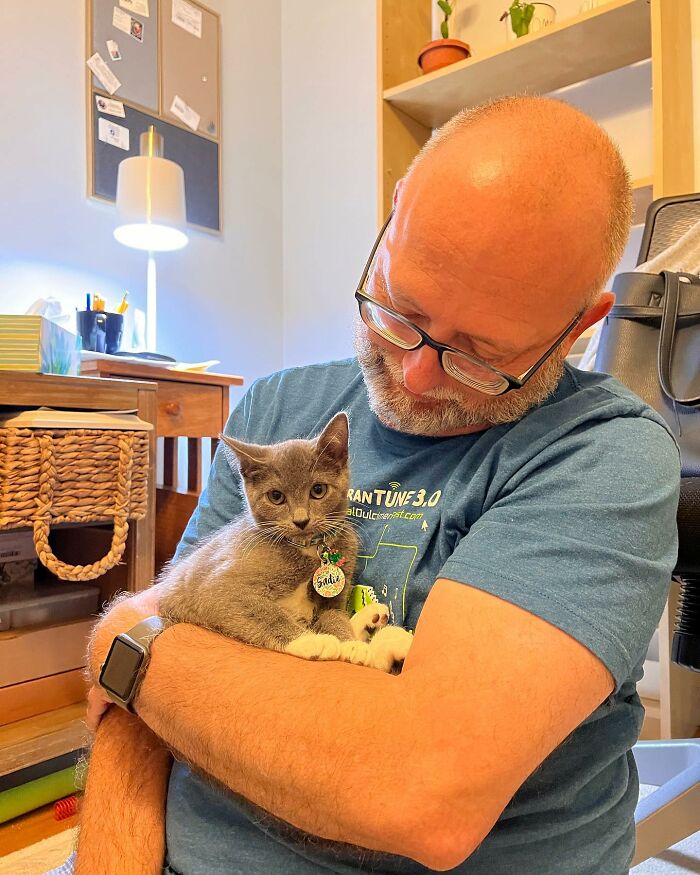 Meet Coop, A Cat Abandoned By His Owners Who Found His New Loving Family Meet Coop, A Cat Abandoned By His Owners Who Found His New Loving Family