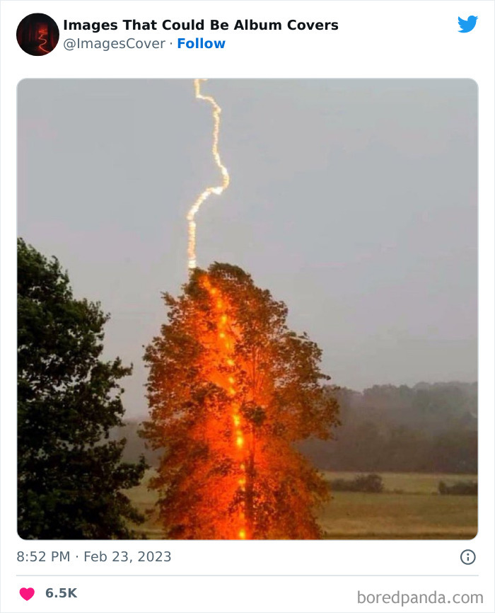 Cool-Pics-That-Could-Be-Album-Covers