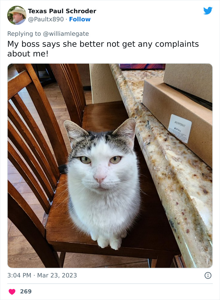 "Crazed Karen Threatens To Report Me To My Boss (Me)": Guy Shares Screenshots Of Crazed Karen, Gets Her Fired "Crazed Karen Threatens To Report Me To My Boss (Me)": Guy Shares Screenshots Of Crazed Karen, Gets Her Fired