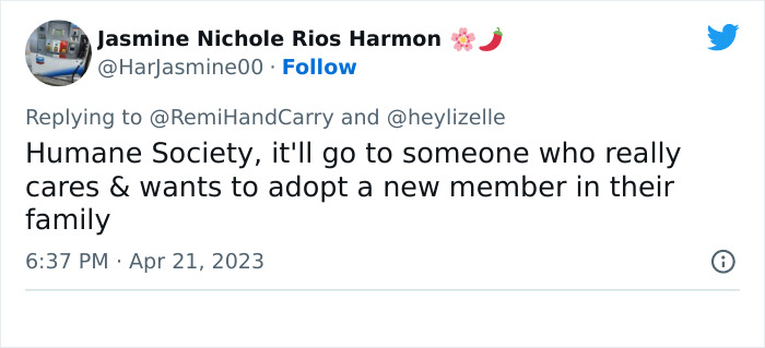 CEO Celebrates Worker Who Sold His Dog To Return To The Office, Sparks Huge Backlash Online CEO Celebrates Worker Who Sold His Dog To Return To The Office, Sparks Huge Backlash Online