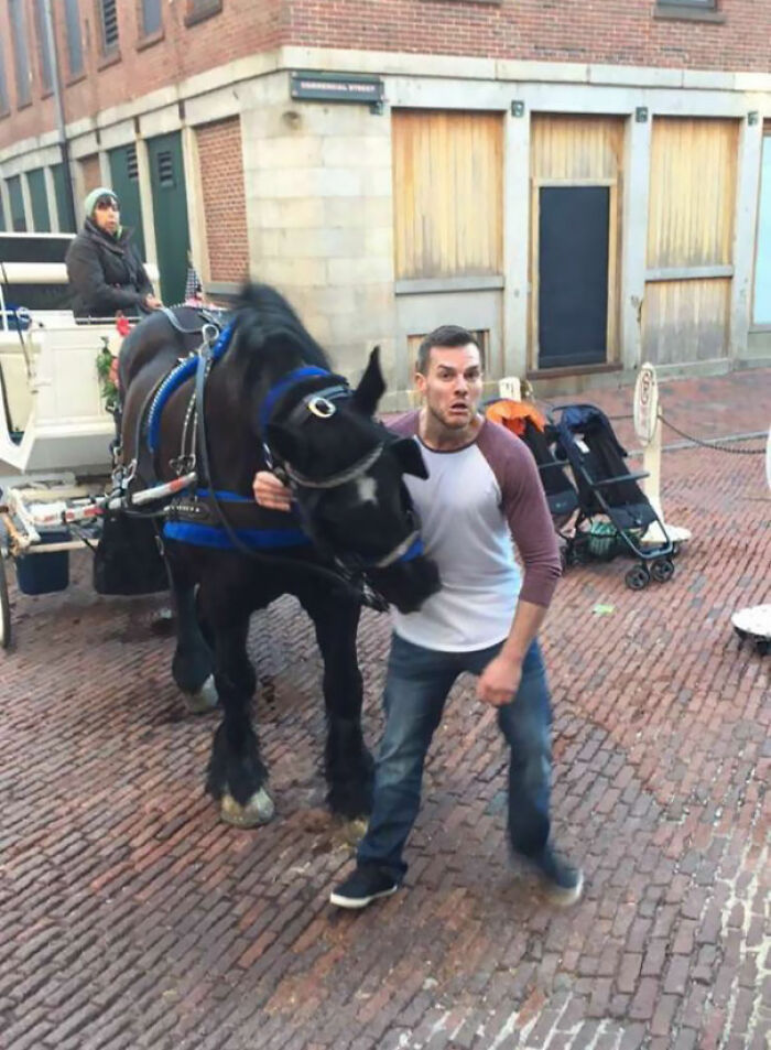 The Exact Moment My Buddy Was Bit By A Horse