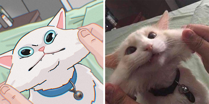 This Artist Recreates Funny Cat Images Into Comical Illustrations (31 Pics)