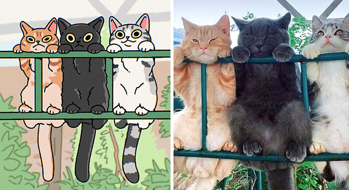 This Artist Recreates Funny Cat Images Into Comical Illustrations (31 Pics)