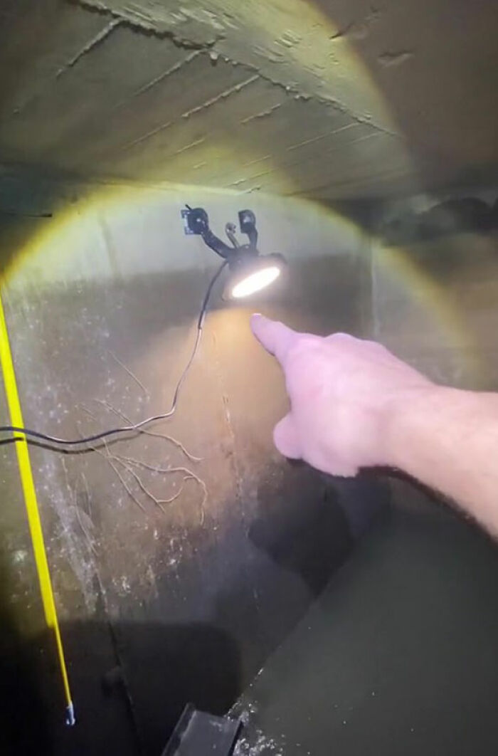 This Man Has An "Eel Pit" Under His Home And It's Making The Internet Lose Its Mind This Man Has An "Eel Pit" Under His Home And It's Making The Internet Lose Its Mind