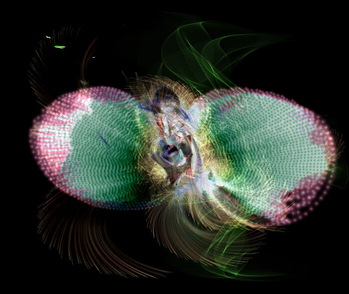 "Girl With Basket On Lap" By 8^777 April 2015