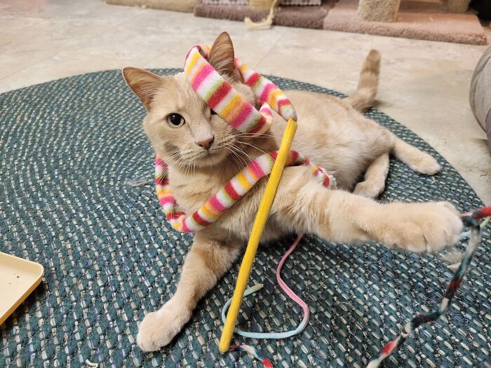 Lewis Loves To Get Silly!