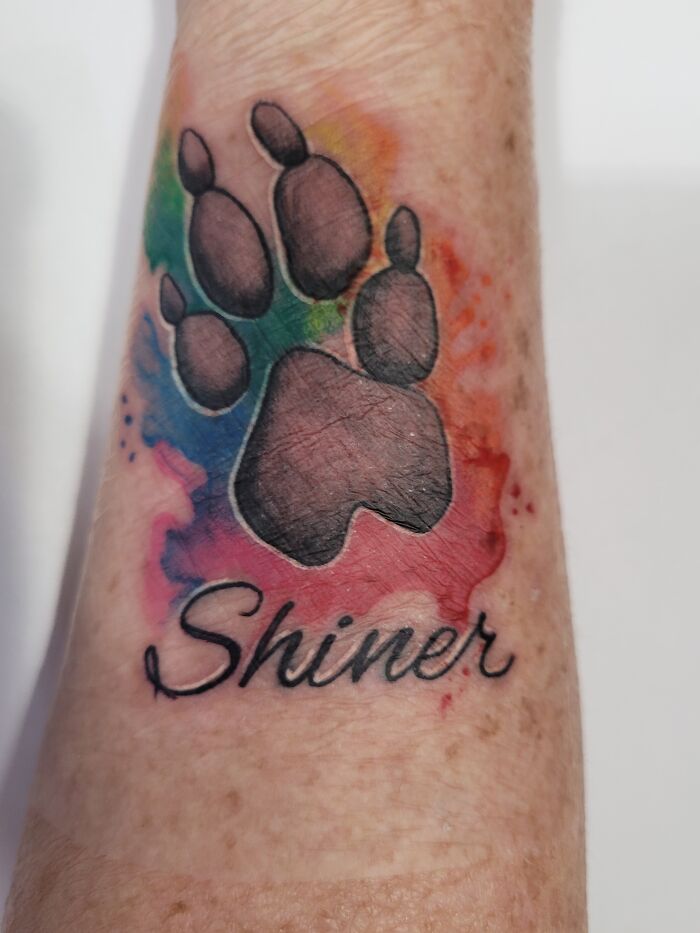 Tattoo of a colorful paw print with the word "Shiner" on an arm.