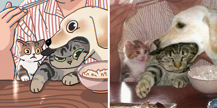 This Artist Recreates Funny Cat Images Into Comical Illustrations (31 Pics)