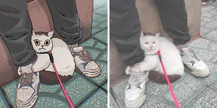 This Artist Recreates Funny Cat Images Into Comical Illustrations (31 Pics)