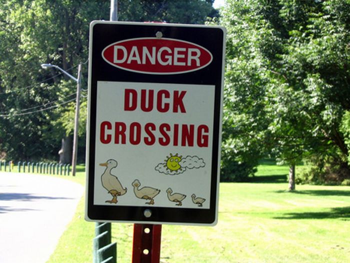 32 Of The Funniest Sign Fails You Won't Believe Actually Happened