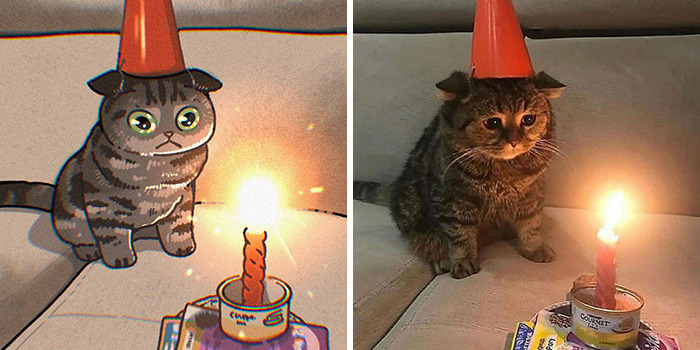 This Artist Recreates Funny Cat Images Into Comical Illustrations (31 Pics)