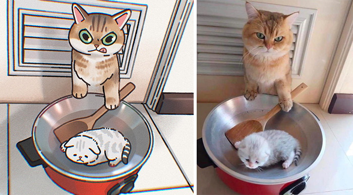 This Artist Recreates Funny Cat Images Into Comical Illustrations (31 Pics)