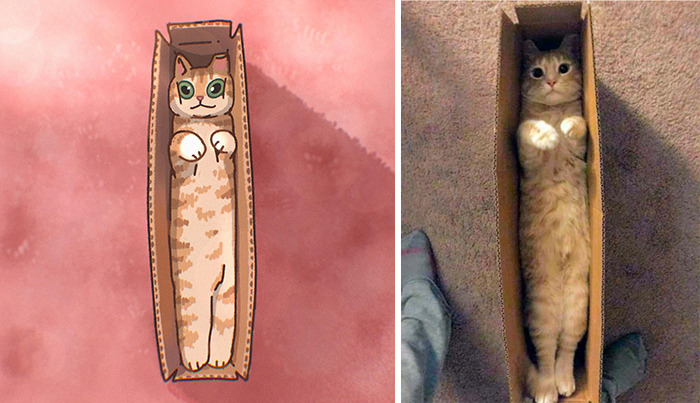 This Artist Recreates Funny Cat Images Into Comical Illustrations (31 Pics)