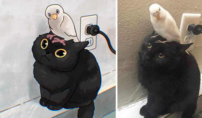 This Artist Recreates Funny Cat Images Into Comical Illustrations (31 Pics)