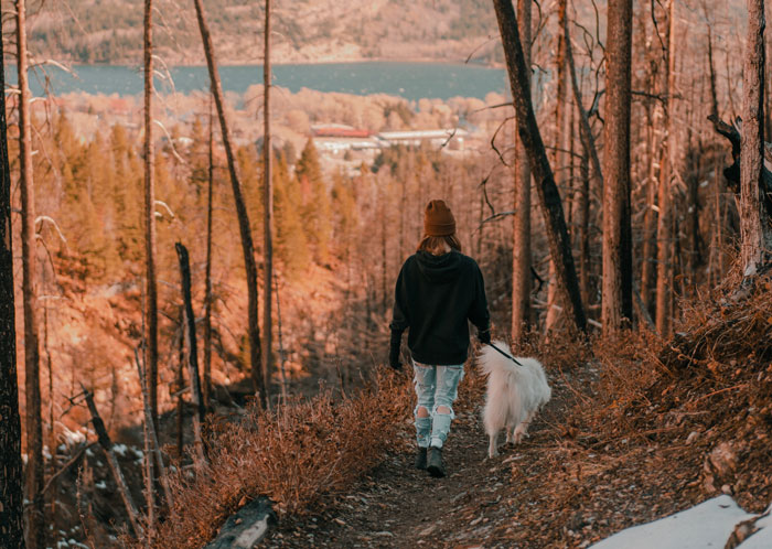 “She Never Barks And Is The Best Hiking Buddy Ever”: Guy Has Had His Friend’s Dog For 2.5 Years When Friend Asks Him To Ship Her Back, Guy Refuses