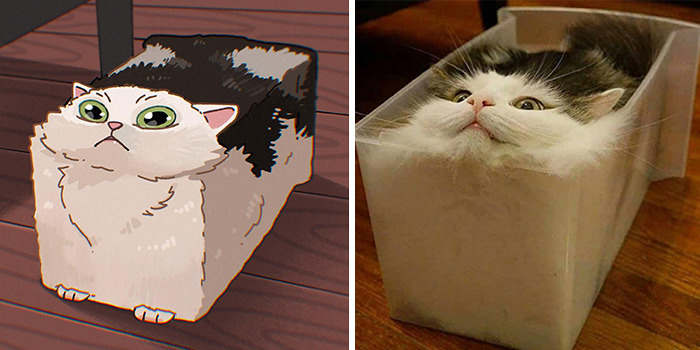 This Artist Recreates Funny Cat Images Into Comical Illustrations (31 Pics)