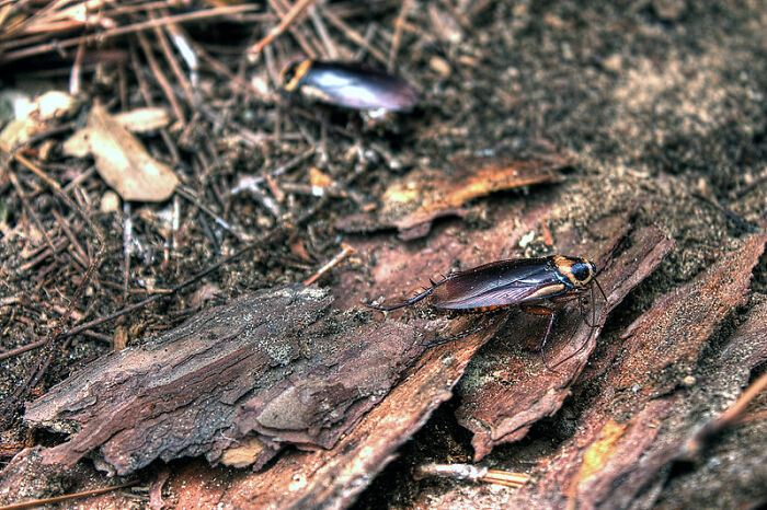 30 Red Flags To Keep An Eye On To Spot A Bad Restaurant, As Shared On This Online Group