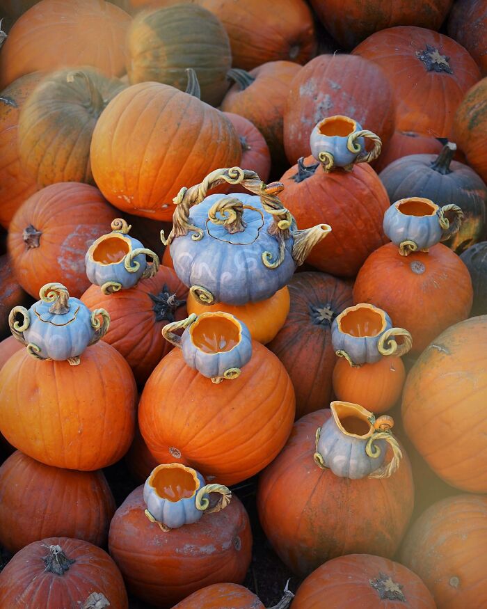 Nature-inspired ceramics shaped like pumpkins, artfully arranged among real pumpkins.