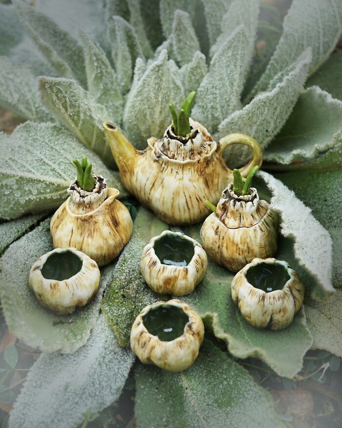Nature-inspired ceramics set resembling bulbs, displayed on large, frosted leaves.