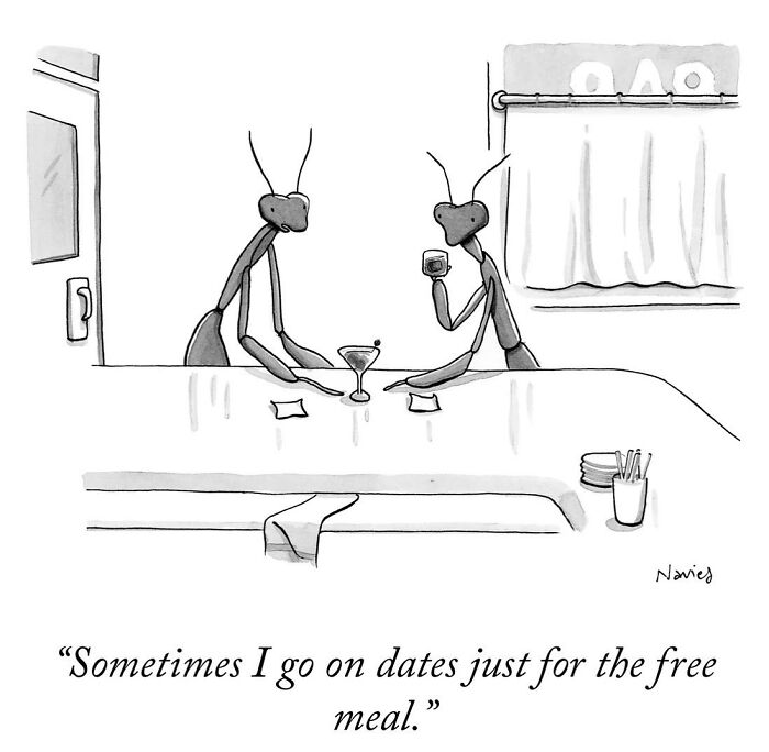 New Yorker Cartoonist Draws Funny, Smart (Ridiculous. Yet Totally Relatable)