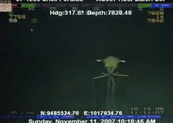 “You May Be Living In The Last Year Of Your Life”: 40 Disturbing Facts That You Might Be Better Off Not Knowing