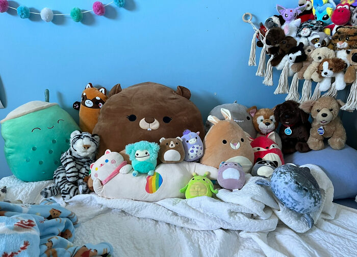 There Is A Mix Of Everything Adorable!