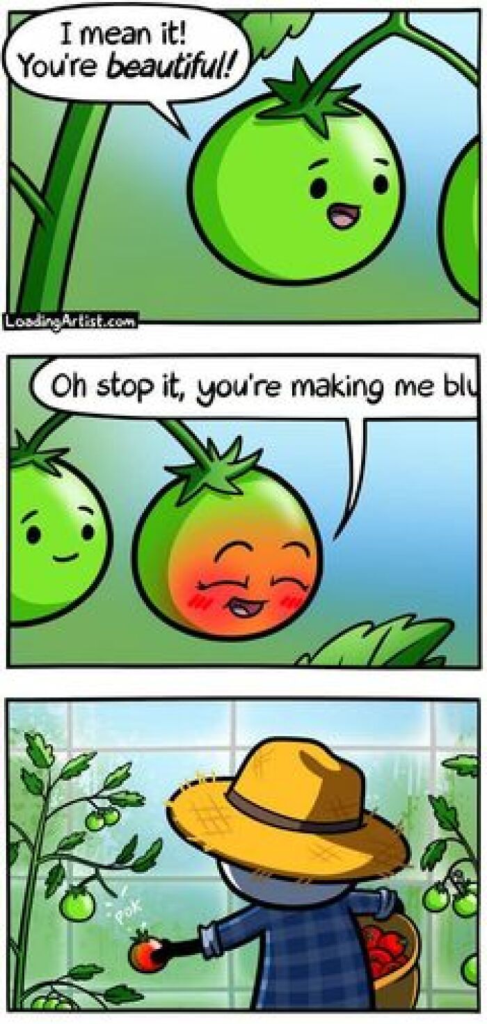 All-You-Can-Eat-Funny-Memes