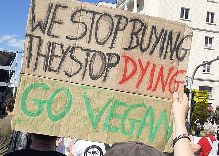 "She's Not A Vegan": Boyfriend Can't Take It Anymore, Calls Out Girlfriend On Her Lies "She's Not A Vegan": Boyfriend Can't Take It Anymore, Calls Out Girlfriend On Her Lies