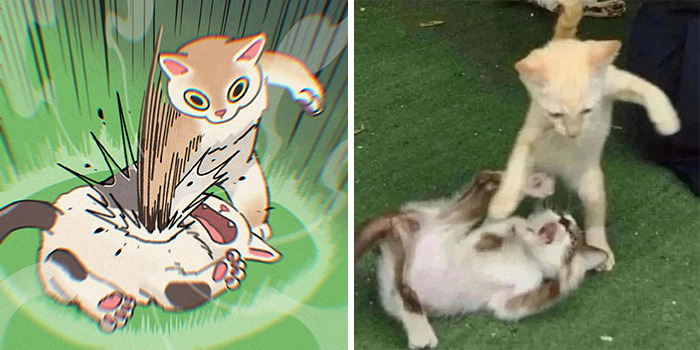 This Artist Recreates Funny Cat Images Into Comical Illustrations (31 Pics)