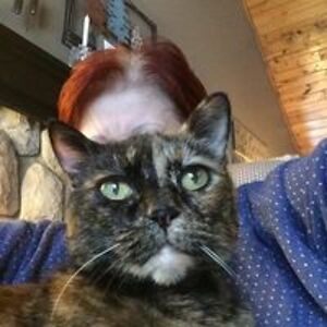 lacyacey11120 avatar