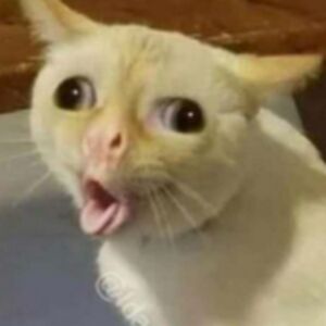 jacksonbylsma avatar