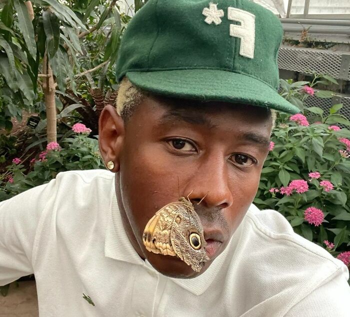 Tyler The Creator (New Zealand, Australia And United Kingdom)