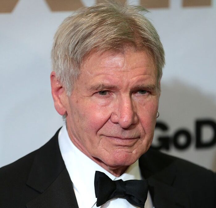 Harrison Ford (China)