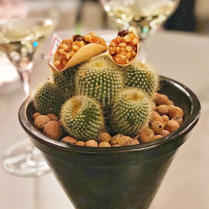 Tacos en un cactus