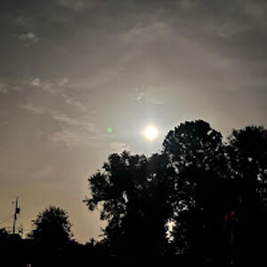 ashleighbattles avatar