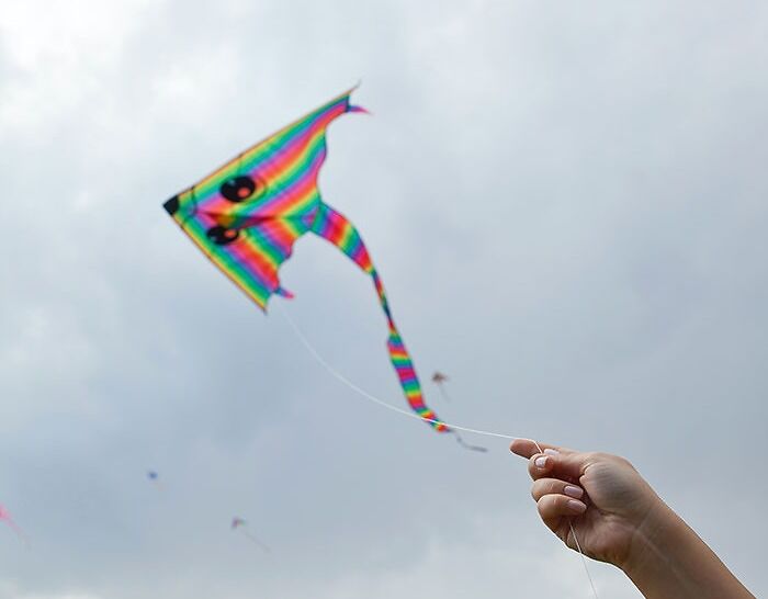 A person is flying a kite in the sky
