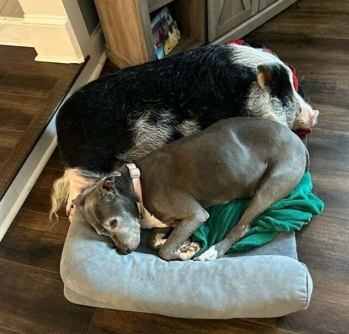 Sharing The Bed
