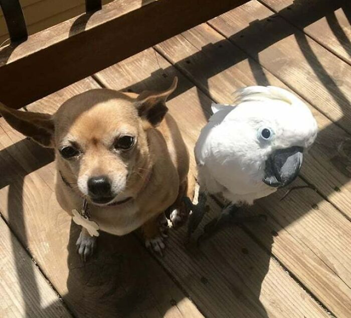 What Are You Lookin' At?