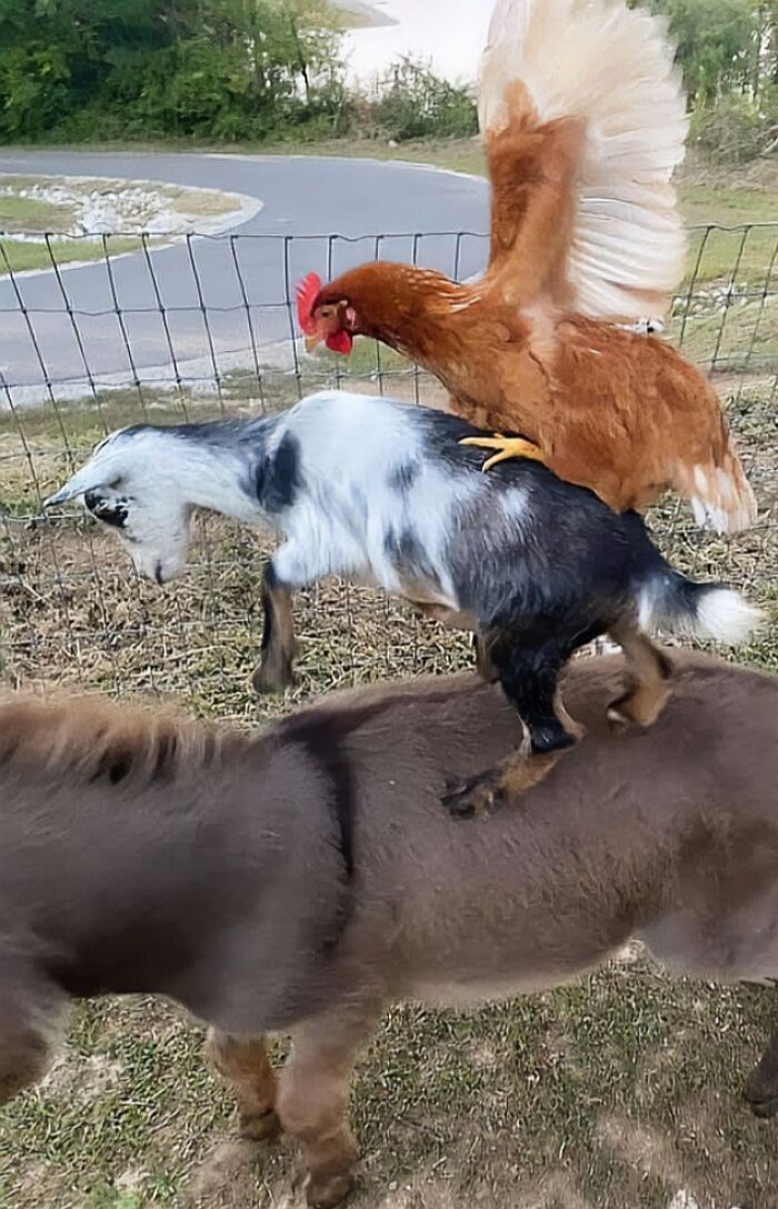 When You Need A Friend To Give You A Ride Somewhere