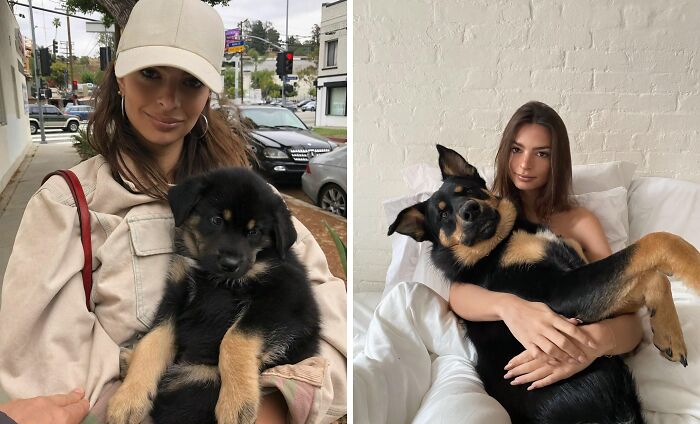 Emily Ratajkowski And Colombo, Photos Taken 8 Weeks Apart