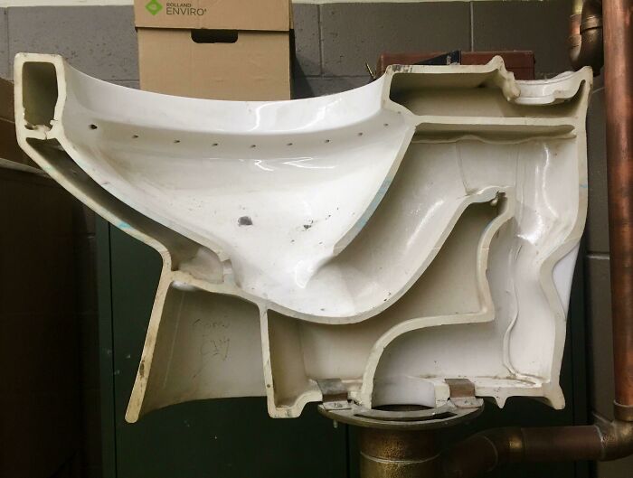 Porcelain Toilet Base In The Plumbing Lab At George Brown College
