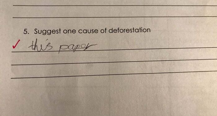 My Wife Is A Teacher And Found This While Marking An Assessment